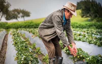 Hoy sábado 27 de junio “Día de las Micro, Pequeñas y Medianas Empresas, MIPYMES, en Colombia”