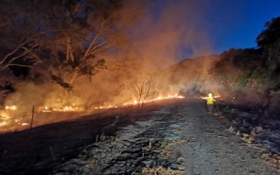 Más de 45 incendios, 300 hectáreas consumidas, balance que deja la seguía en municipios del Tolima