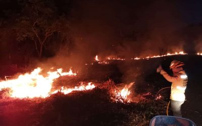 Incendios forestales arrasaron con sientas de hectáreas en el Tolima, durante el fin de semana