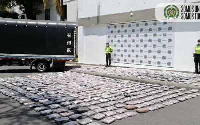 Policía realizó la incautación del año, 452 kilos de marihuana
