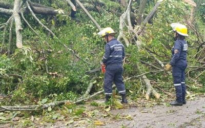 Autoridades atendieron emergencias ocasionadas por intensas lluvias, la noche anterior
