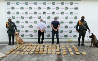 Al menos 37.000 dosis de marihuana fue incautada por la policía en Ibagué