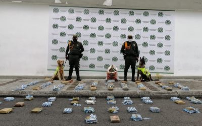 Autoridades de Ibagué incautaron más de 100.000 dosis de marihuana