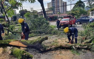 lluvias siguen ocasionando daños en Ibagué, al menos 400 emergencias se han atendido