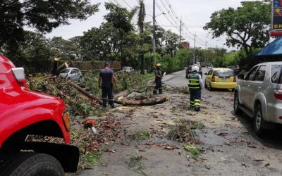 Fuertes lluvias causaron deslizamientos e inundaciones en distintas zonas de la ciudad.