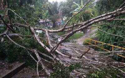 No paran la lluvias, como tampoco las  emergencias en Ibagué