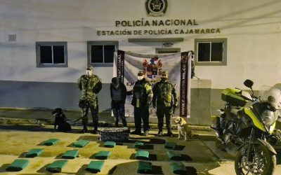 Autoridades incautan más de 63 kilos de marihuana  en el Tolima