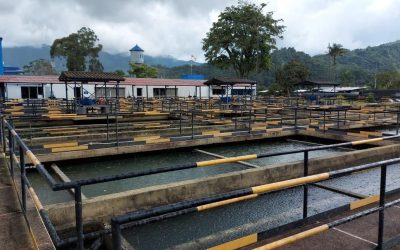 Ibagué amaneció nuevamente sin agua