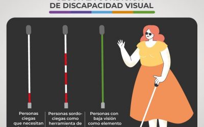 En «El Día Mundial de la Visión», se llama a la inclusión