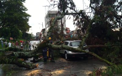 Emergencias en Ibagué por lluvias de las últimas horas