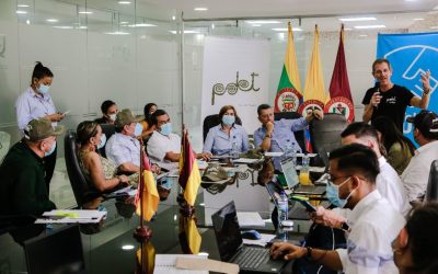 Paz con legalidad como política pública para el Tolima
