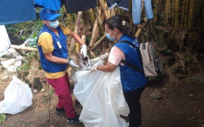 Ibagué redujo en un 88 % el dengue en el 2021