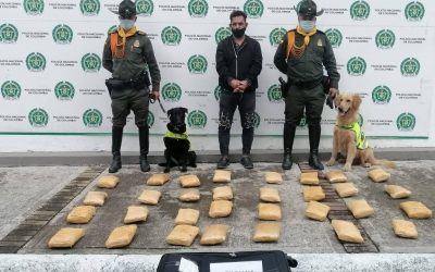 Ojo a estas cifras, los Ibaguereños se están portando mal en navidad