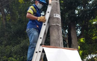 Sigue el desmonte de la publicidad política ilegal en Ibagué