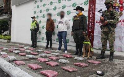 Duro golpe, llevaban 30 mil dosis de estupefacientes por Ibagué