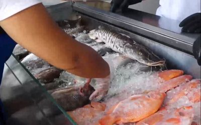 Recomendaciones si va a consumir pescado en Semana Santa