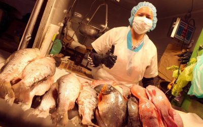 ¿Conoce el pescado en buen estado ? Y en que condiciones debe venderse