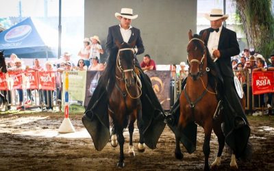 Mas de 20 mil personas visitaron la Feria Equina y Bovina en su tercer día