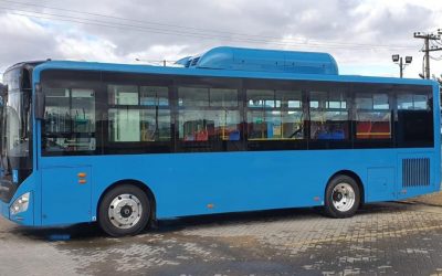 Que tal los buses para el transporte público de Ibagué?