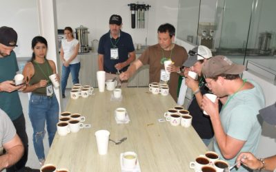 Empresarios de Estados Unidos, Países Bajos, Italia y Chile, quieren comprar café tolimense
