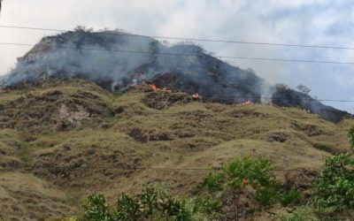 Incendio en Prado tiene afectadas 150 hectáreas de vegetación