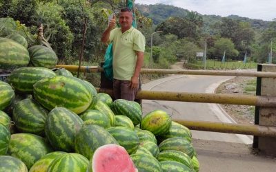 La Calle 103: Una gran oportunidad para los comerciantes de la zona
