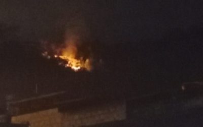 Autoridades controlaron focos de incendios forestales en la comuna Seis