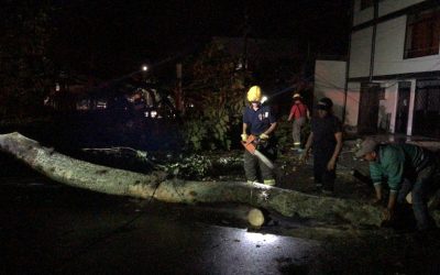 Autoridades atiendieron emergencias por fuerte vendaval
