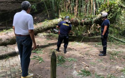 Organismos de socorro atendieron emergencia en el Parque Centenario