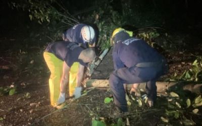 Inundaciones, caídas de árboles, taponamientos por lluvias de este jueves