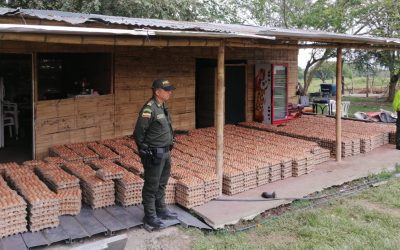 Les dañaron la pericada, recuperaron cargamento de huevos
