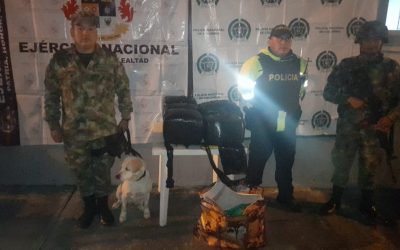 30 mil dosis de marihuana fueron incautadas por el Ejército Nacional