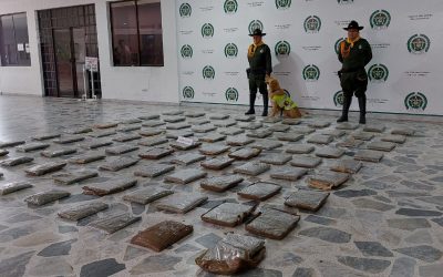 85 mil dosis de marihuana incautada en Ibagué