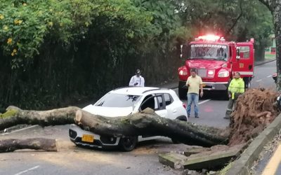 Autoridades atendieron emergencias en más de cinco barrios en Ibagué