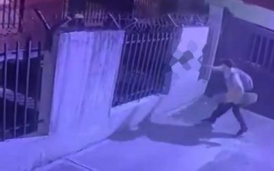 Autoridades investiga caso de maltrato a  gato en Ibagué