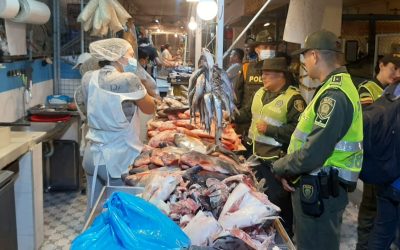 Autoridades incautaron 32,7 kilos de pescado  