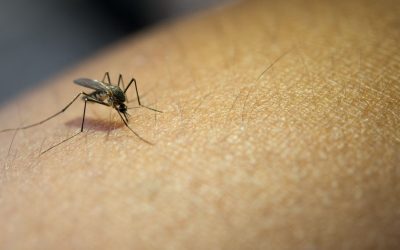 ¡Atención! Siguen aumentando los casos de dengue en Ibagué