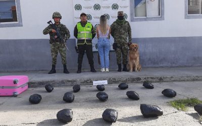 Siete kilos de marihuana fueron incautados por el Ejército Nacional en Cajamarca