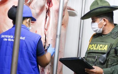 Autoridades incautaron 17 kilos de carne en la Plaza de La 28