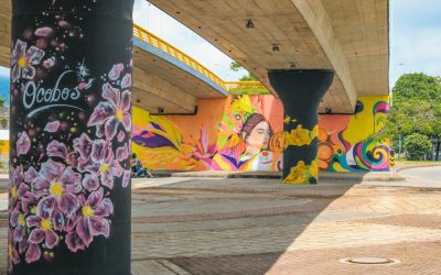 Esta es la nueva cara del ‘Puente del Éxito’ en Ibagué