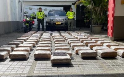 Media tonelada de marihuana incautada en Melgar