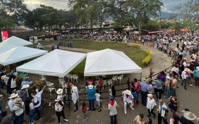 Conozca la programación de la Feria Bovina grado A y Show Equino