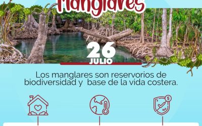 ComfaTolima trabaja por la conservación ambiental