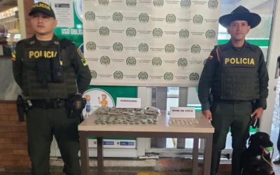 715 dosis de marihuana y 40 de coca fueron incautadas
