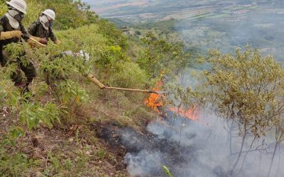 Soldados atienden incendio forestal en Carmen de Apicala