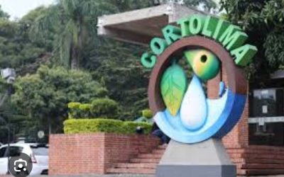Estos son los profesionales inscritos para dirección de Cortolima