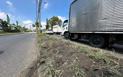 Otro caso de falta de cultura ciudadana en Ibagué