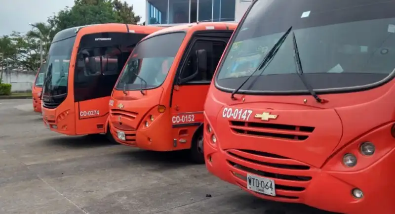 transportadores-de-ibague-entraron-a-paro-indefinido-1163727-1