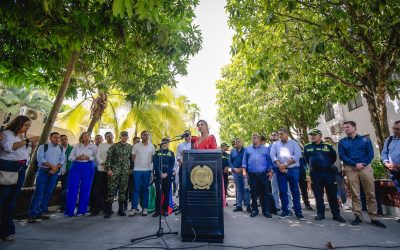 La delincuencia en el Tolima, será tratada por zonas