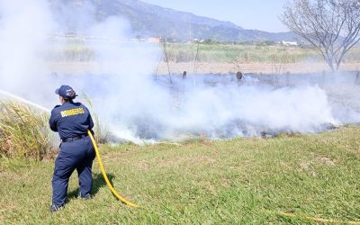 La millonaria multa a quienes ocasionen incendios forestales 